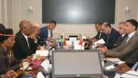 Egypt, South Africa Seek Deeper Industrial Integration, Joint Investment Partnerships