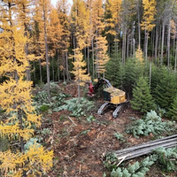 Forest Service and Idaho Department of Lands Expand Partnership