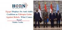 Egypt Displays Its Anti-Addis Coalition as Ethiopia Gains Against Rebels. What Comes Next?