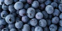 Trader Joe’s & Walmart Berries Recalled