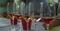 Yadkin Valley wineries honored in North Carolina wine competition
