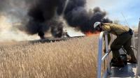 Utah's strategy to fight invasive reeds at the Great Salt Lake? Play the long game and look upstream