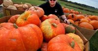 Tourism Office launches agritourism advisory group