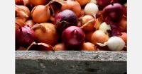 Chetumal potato and onion prices offer limited savings for Belizeans