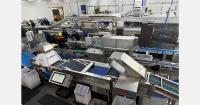 Winterwood launches year-round berry supply business in Europe