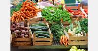France finds organic label misuse at 15.5% of businesses inspected