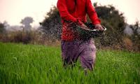 Agriculture dept tightens fertiliser enforcement during kharif