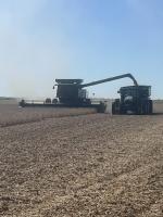 Minnesota harvest slow, fields need to dry out
