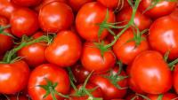 Morocco agri-food exports to EU reach US$2.9B in first seven months of 2026