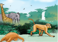 TAKING WILDLIFE CRIME SERIOUSLY