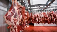 Savanna Beef suspends cattle slaughter amid Foot-and-Mouth disease outbreak