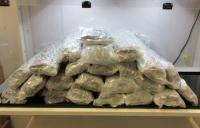 Cannabis smuggler caught at Vancouver International Airport pleads guilty