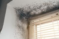 Kentucky tenants win 90-day water reprieve, but say unsafe apartments still go unrepaired