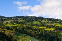 Wildlife Corridors on Costa Rica Farms Offer a New Path for Conservation