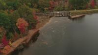 Harmful algae bloom prompts advisory for Johnson’s Pond in Coventry