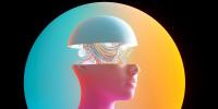 The Hunt for Consciousness Is Moving Deeper Into the Brain