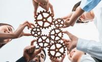 Beyond AI adoption: Where can New Zealand gain most?