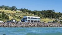 Government showstopper events: The $40m gamble that counts happiness as economic success - Kate MacNamara
