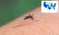 Map shows 14 states where dengue fever cases are rising... as CDC issues travel alert for three new countries over surging outbreaks of mosquito-borne virus