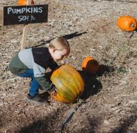 Nature Hills Farm hosts their annual Harvest Fest for fall family fun