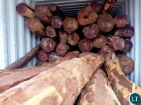 Zambia open for Investment in Timber