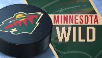 KAAL, Start TV 6.2 to air select Minnesota Wild games this season