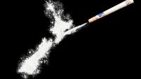 South American cocaine mule Victor Hermosilla caught at Auckland Airport, ends up in prison