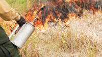 Montana DNRC plans prescribed burns on state, private lands
