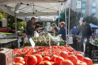 The best Evanston Farmers’ Market finds under $20