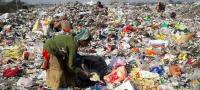 Think planes are the problem? Rotting food waste emits 5 times more greenhouse gases, finds study