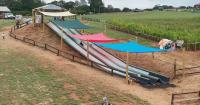 Agritourism offsets high price of diesel, farmer owner says
