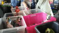 Police seize over 300 live exotic animals
