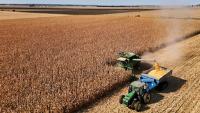 Money Flow or Real Change? What’s Moving Grains Now?