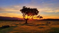 Global Heat Forum seeks to galvanize action and investment