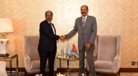 President Isaias holds talks with Somali President