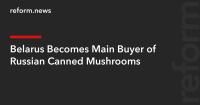 Belarus Becomes Main Buyer of Russian Canned Mushrooms