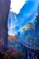 Deep in the Hidden Forests: Huangshan Introduces Four-Day Itinerary Through Forest Trails and Historic Villages