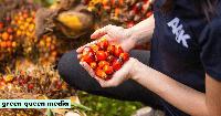 AAK to Produce Cocoa Butter Alternatives with Dry Fractionation Tech in Malaysia