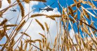 Development Aid will be Critical to Securing Ukraine