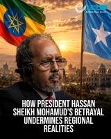 How President Hassan Sheikh Mohamud’s Betrayal Undermines Regional Realities