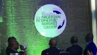 NESG Seeks State-level Strategies to Unlock Nigeria’s Growth Potential