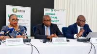 At Lomé Workshop, ECOWAS Experts Move to Harmonize Energy Data to Guide Investment
