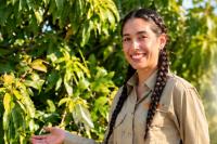 National Mango Board: How science is serving the industry