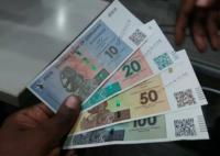 Zimbabwe moves closer to ZiG mono-currency regime