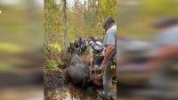 VIDEO: Mountain bikers race to rescue horse submerged neck-deep in mud