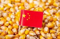 Corn for feed use seeing dip in China