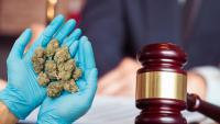 Could Ganja rules be eased for medicinal use? Supreme Court's stand triggers fresh debate