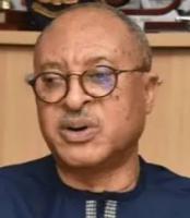 Nigeria’s Rent-Seeking Economy Stifling Wealth Creation — Utomi
