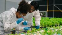 State Agriculture Commissioner Announces $3 Million Awarded to Bo...