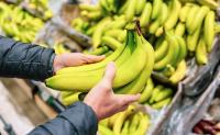 Opinion | America’s bananas can no longer be taken for granted